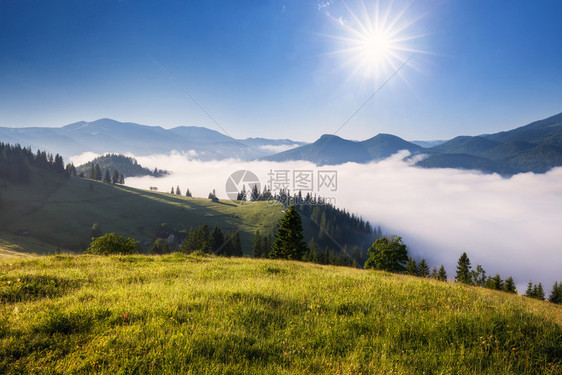 山上美丽的雾景色阳光照耀的美好早晨图片