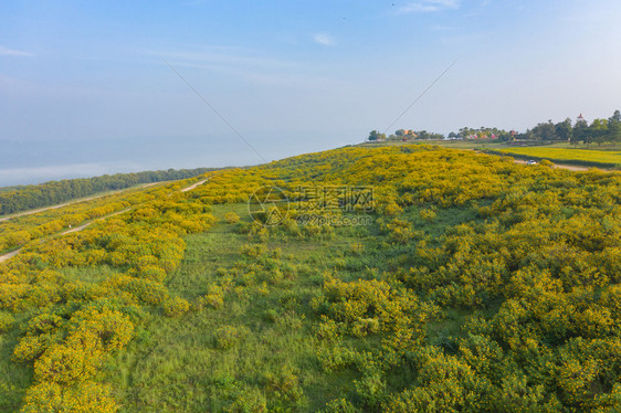 在泰国Lumpang省花园公和蓝天山丘上看到树Marigold或黄色花朵的空中景象旅行和度假概念的自然景观背图片