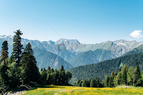 以绿色森林景观看待山区图片