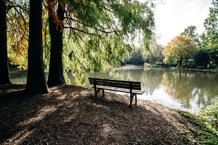 湖岸空的长凳被树木包围风景美丽图片