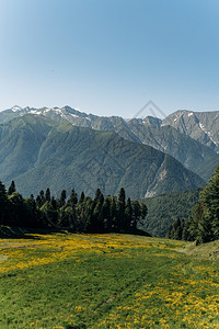 阳光明日美丽的山景图片