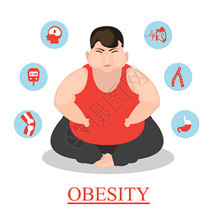 肥胖对健康和人体器官的影响图片