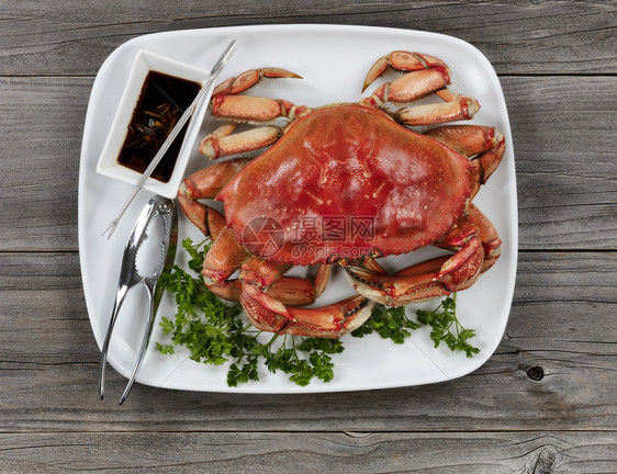 饭桌布置中的整个煮熟Dungeness螃蟹图片