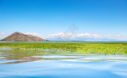 Skadar湖公园由山区环绕的湖黑山图片