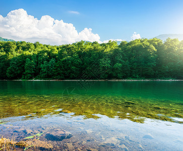 公园BiogradskaGora黑山的生物格拉底斯科湖图片