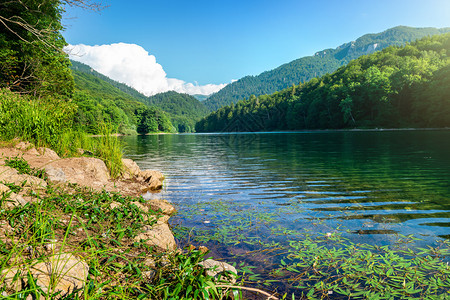 公园BiogradskaGora黑山的生物格拉底斯科湖图片