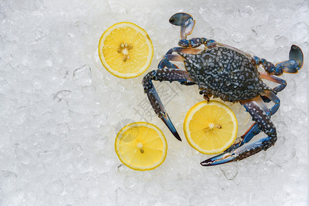 冰底海食蟹新鲜蓝泳和超市冰桶上的柠檬海洋美食图片