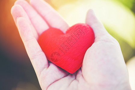 让爱人握着小红心在爱的手中情人节捐赠帮助给爱温暖照顾概念图片