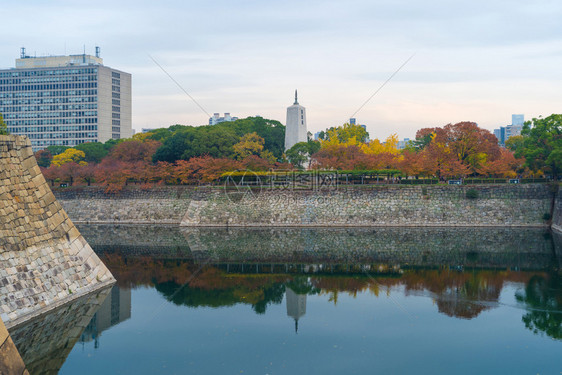 大阪寺庙塔有红色的木叶或落树枝在广博的秋天在关西大阪市日本的树木建筑景观背图片