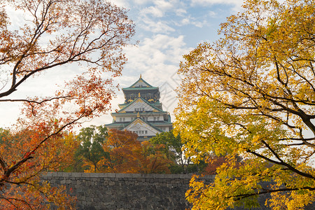 日本神鹿公园大阪城堡建筑秋季有多彩的木叶或落多彩的树木京都市关西日本建筑景观背著名的旅游点背景
