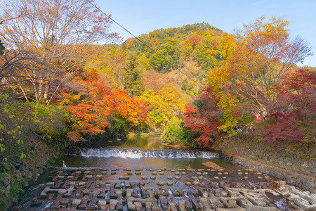 在京都Rurikoin寺庙瀑布附近的多彩秋天季节红树叶或落日本有蓝天空的树木自然景观背图片