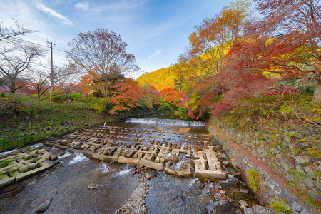 在京都Rurikoin寺庙瀑布附近的多彩秋天季节红树叶或落日本有蓝天空的树木自然景观背图片