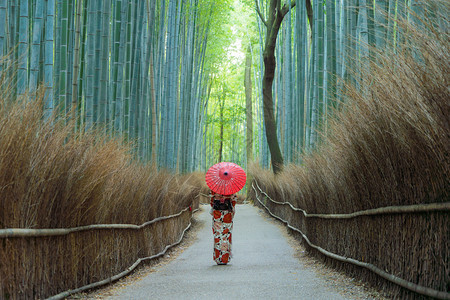 一名身着日本传统和服的亚裔妇女在日本京都旅行度假出外时站在竹林着自然公园中的高树自然景观背图片