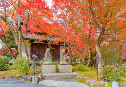 EikandoZenrinji寺的佛像有红色树叶或秋天有色树日本京都自然景观背图片