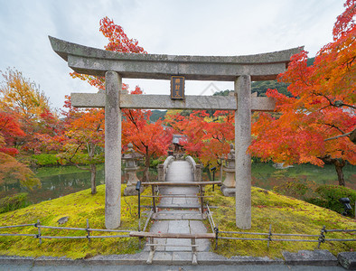 EikandoZenrinji寺庙有红色的树叶或秋天多彩的树木京都日本自然景观背图片