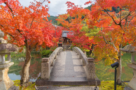 EikandoZenrinji寺庙有红色的树叶或秋天多彩的树木京都日本自然景观背图片