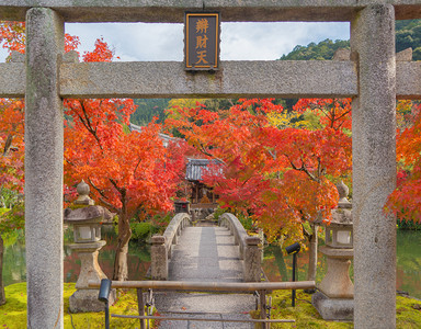 EikandoZenrinji寺庙有红色的树叶或秋天多彩的树木京都日本自然景观背图片