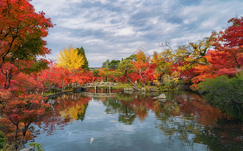 EikandoZenrinji寺庙和木桥配有红叶或秋天多彩树木京都日本自然景观背图片