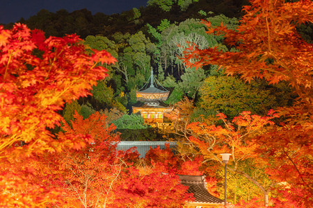 EikandoZenrinji寺庙和木桥配有红叶或秋天多彩树木京都日本自然景观背图片