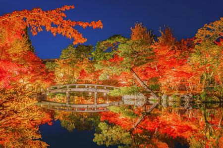 EikandoZenrinji寺庙和木桥配有红叶或秋天多彩树木京都日本自然景观背图片