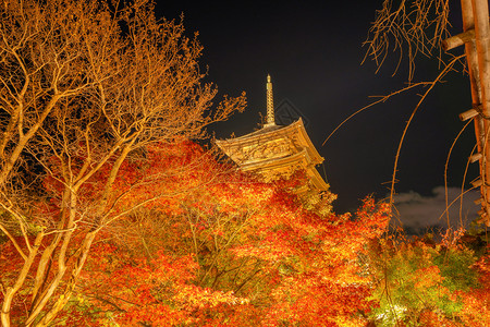 托吉帕果达寺庙秋季有红木叶或落多彩的树木京都日本自然和建筑景观背图片