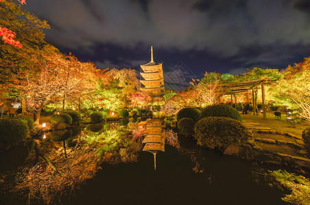 托吉帕果达寺庙秋季有红木叶或落多彩的树木京都日本自然和建筑景观背图片