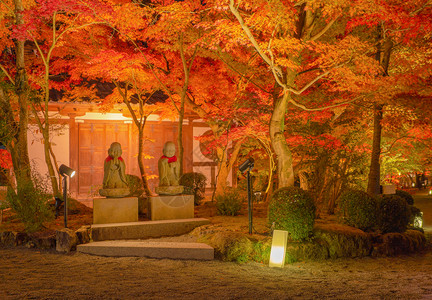 EikandoZenrinji寺的佛像有红色树叶或秋天有色树日本京都自然景观背图片