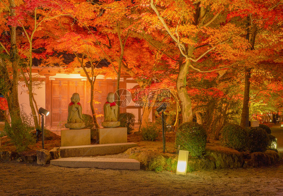 EikandoZenrinji寺的佛像有红色树叶或秋天有色树日本京都自然景观背图片