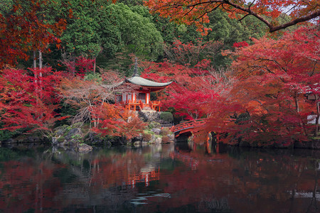 DaigojiPagoda寺庙有红色的树叶或秋天有色树京都日本自然景观背图片