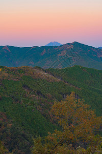 日本公园热带森林中的藤山和红绿树以及夏季的山丘或图片
