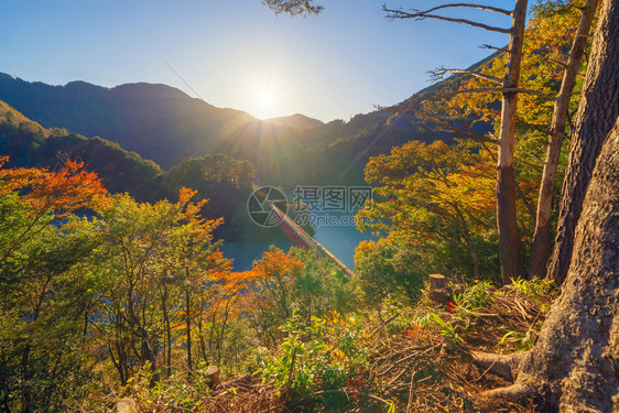 横渡长谷川铁路的蒸汽列车空中观察以在森林山丘和秋季蓝河的红落叶进行站岗日本静冈的红桥图片