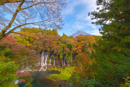 白丝瀑布秋天叶或落在山桥藤川口附近蓝天的日本多姿彩树木自然景观背图片