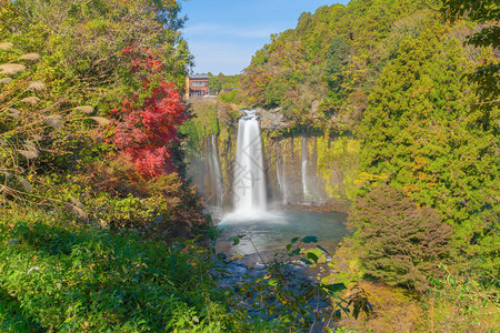 白丝瀑布秋天叶或落在山桥藤川口附近蓝天的日本多姿彩树木自然景观背图片