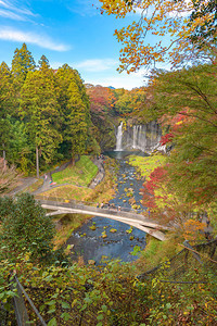 白丝瀑布秋天叶或落在山桥藤川口附近蓝天的日本多姿彩树木自然景观背图片