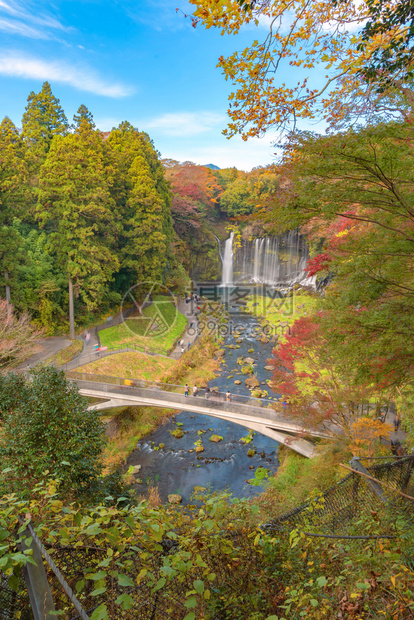 白丝瀑布秋天叶或落在山桥藤川口附近蓝天的日本多姿彩树木自然景观背图片
