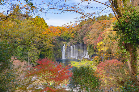 白丝瀑布秋天叶或落在山桥藤川口附近蓝天的日本多姿彩树木自然景观背图片