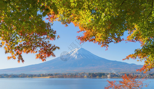 富士山上有红色的木叶或秋天多彩的季在亚马纳西藤川口子附近五个湖泊日本有蓝天的树木自然景观背图片