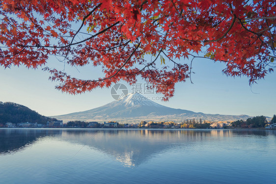 富士山上有红色的木叶或秋天多彩的季在亚马纳西藤川口子附近五个湖泊日本有蓝天的树木自然景观背图片