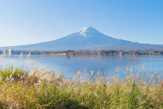 富士山的反射与蓝天相近富士五湖藤川口子山桥日本自然景观背图片