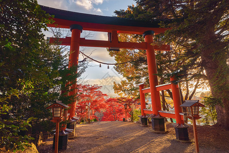 秋季叶或树带有红或落的ChureitoPagoda寺有色树福吉田日本自然景观背图片