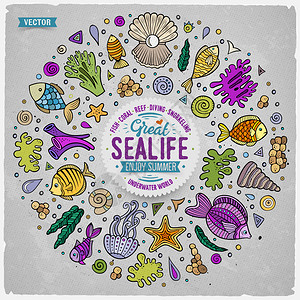 彩色海洋元素海生动植物元素涂鸦风格插画图片