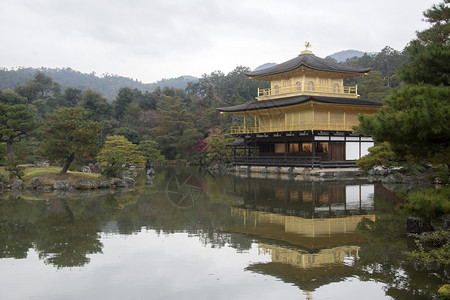 京都金殿佛教寺庙Kinkakuji是日本最受欢迎的建筑之一每年吸引大量游客图片