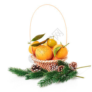 圣诞坦格林白色背景的橘子图片
