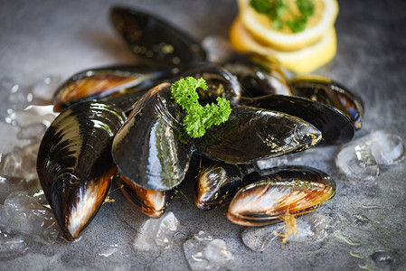 含有草药柠檬和黑板底新鲜海贝壳鱼在餐馆的冰上或市场销售的贝壳食品图片