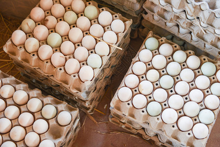 新鲜鸡蛋白鸭箱生产从有机农业物中新鲜鸡蛋图片