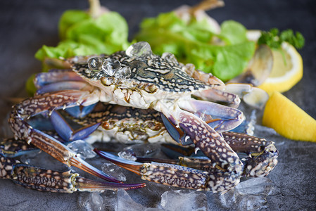 鲜螃蟹在冰面上香料柠檬和沙拉生菜在黑板背景新鲜螃蟹在餐厅或海鲜市场煮熟食品蓝游泳蟹图片