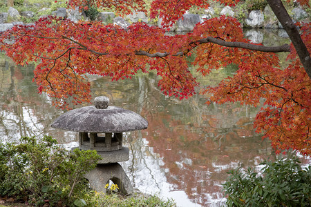 日本京都丸山公园的石灯背景图片