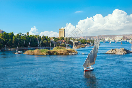 埃及尼罗河Aswan的赛艇图片