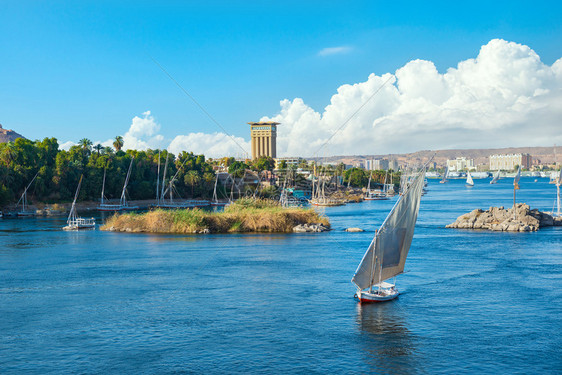 埃及尼罗河Aswan的赛艇图片