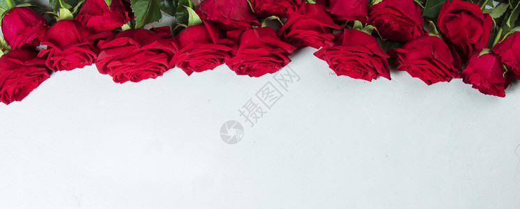 花白图片 花白素材 花白高清图片 摄图网图片下载